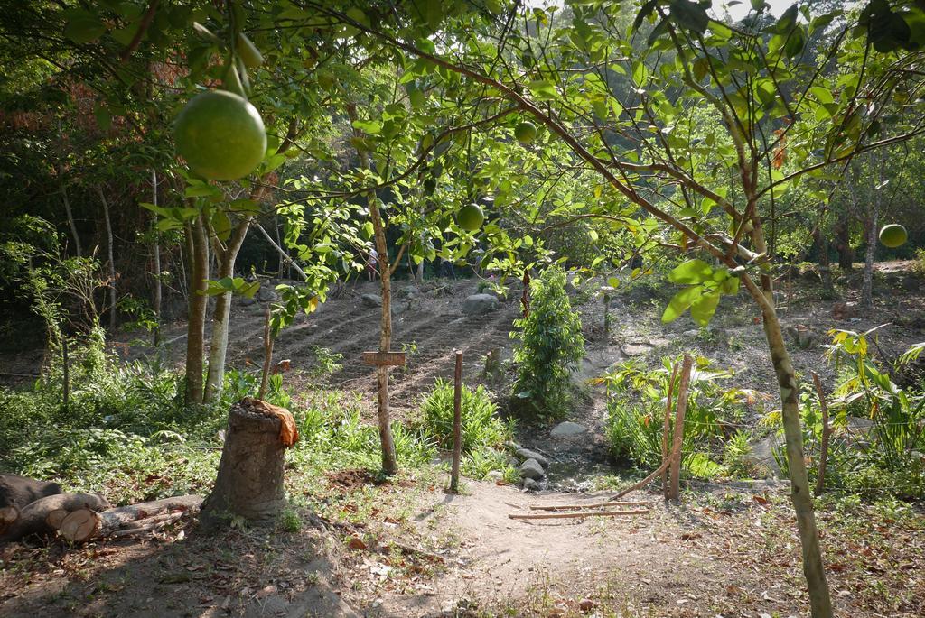 Finca Carpe Diem Ecolodge Minca Kültér fotó