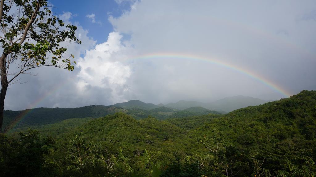 Finca Carpe Diem Ecolodge Minca Kültér fotó